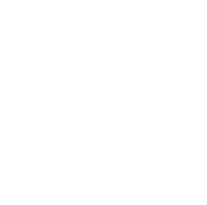 Logo ChileFrutas transparencia-06